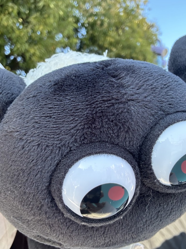 ふじ