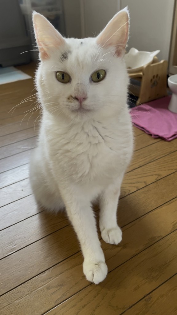 きー
