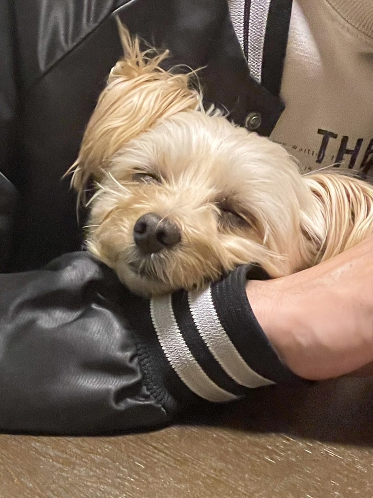 ぎり