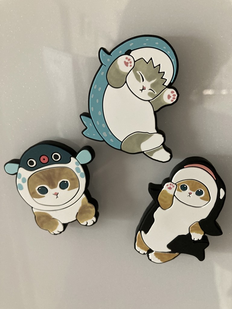 ゆき