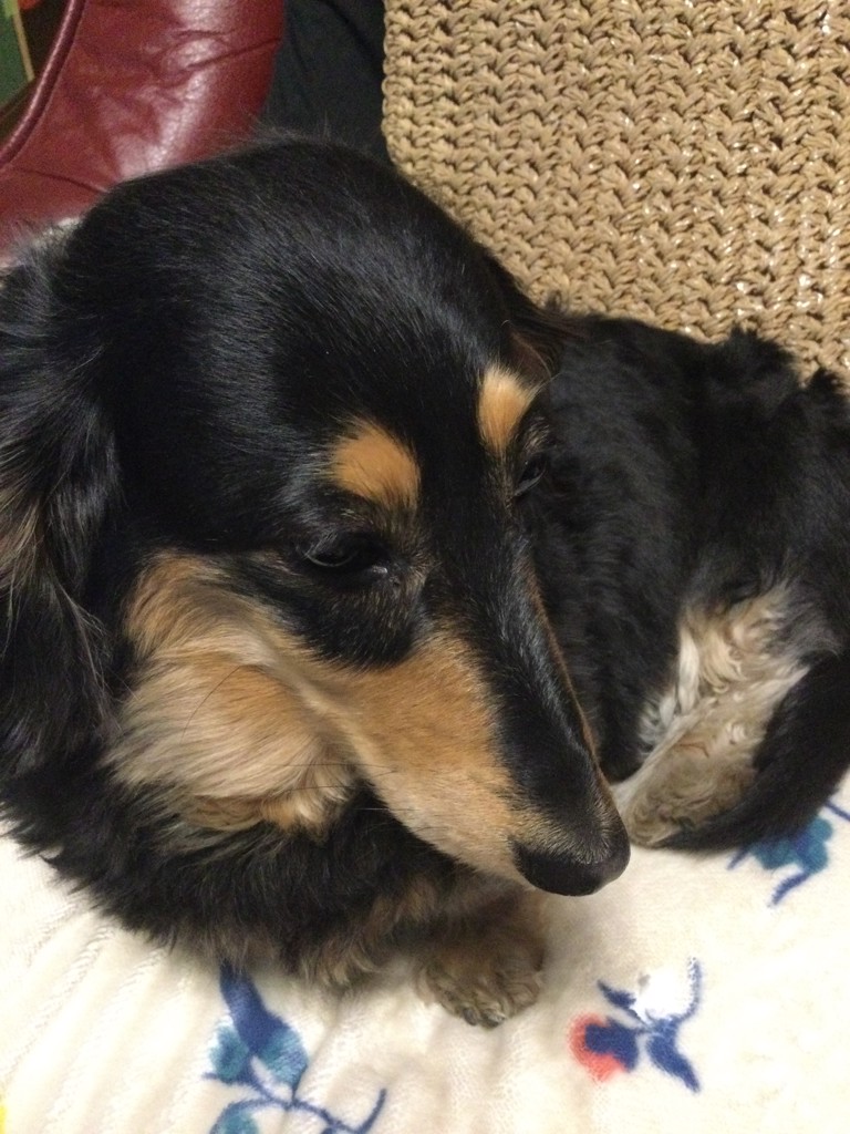 いかづち