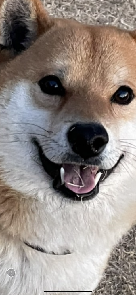 ゲドバヤ