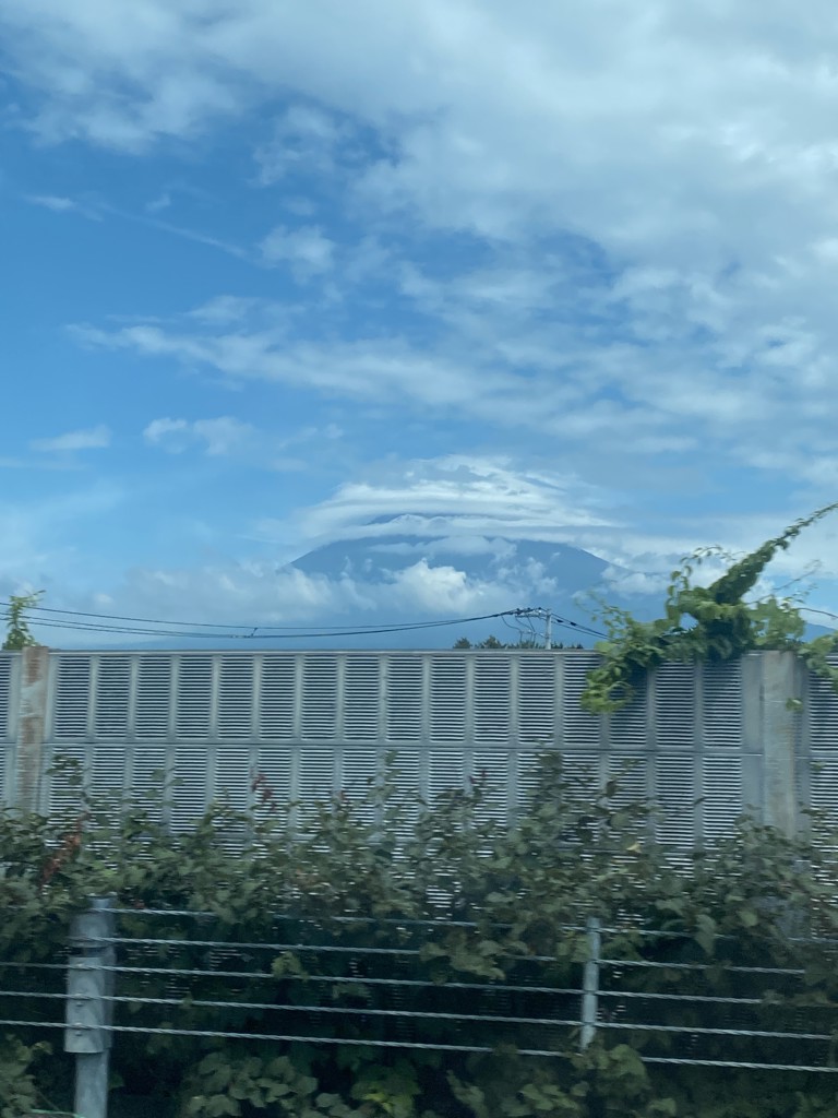 まりも