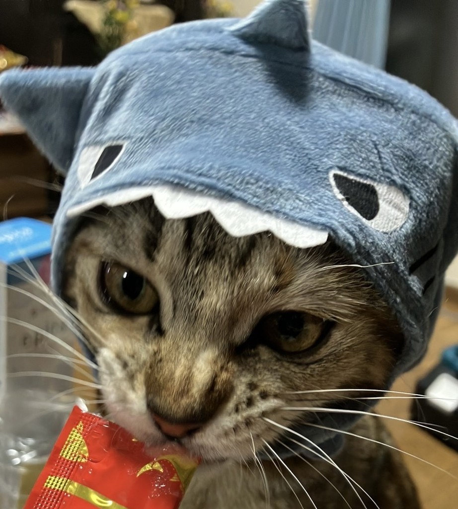 ゅ
