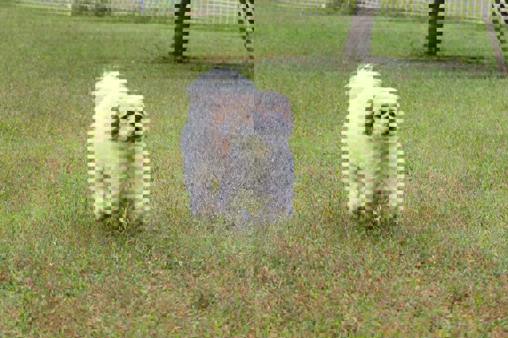 ユーザーアイコン