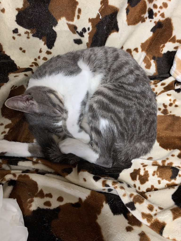 ウッチー