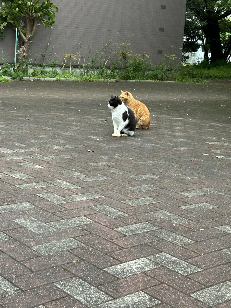 ふふふ