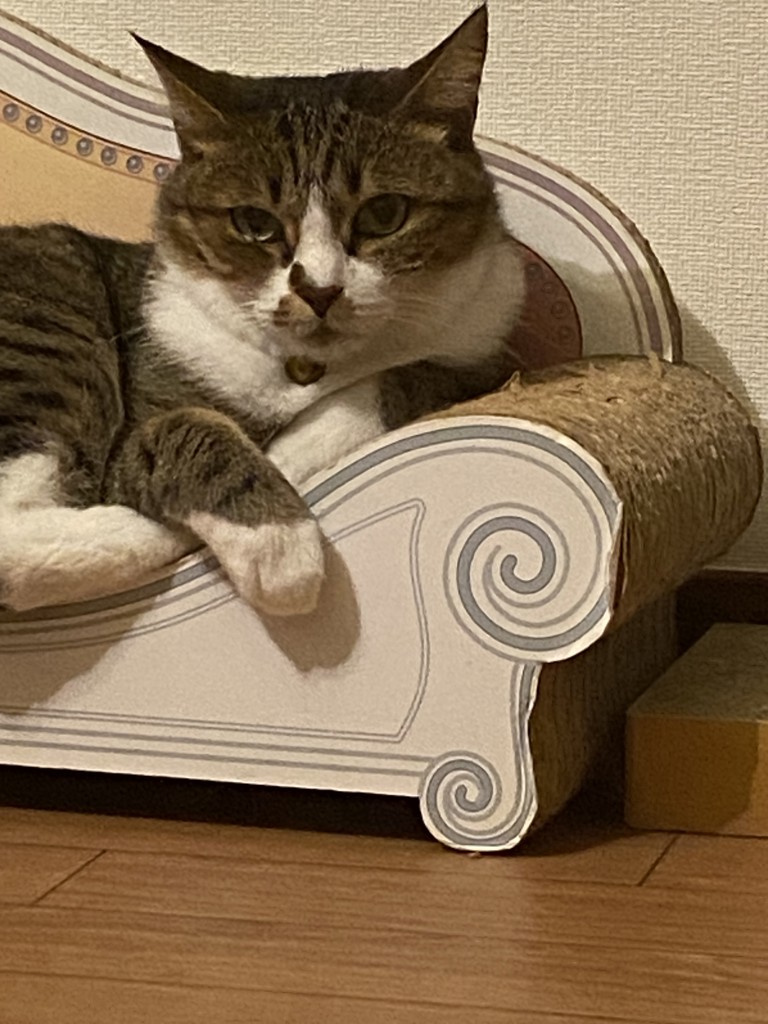 no name