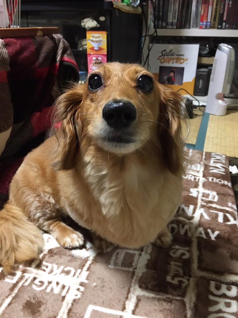 えっちゃん