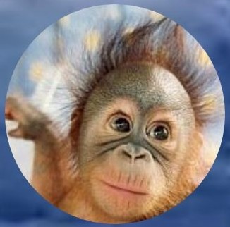 ユーザーアイコン