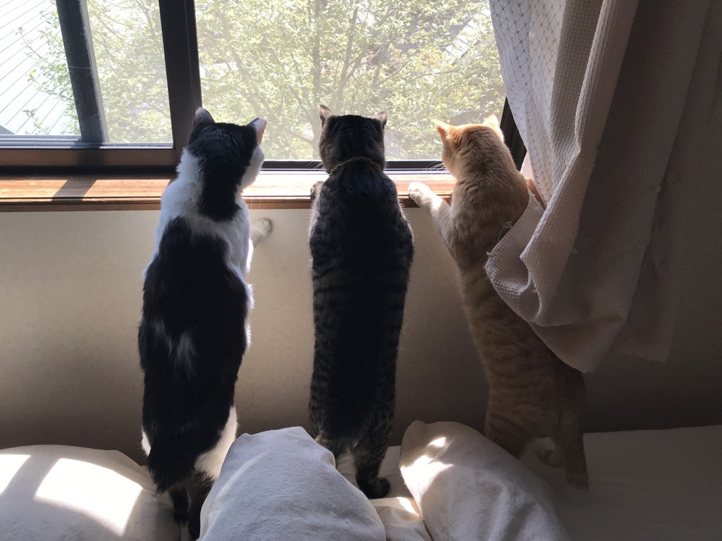 ベル