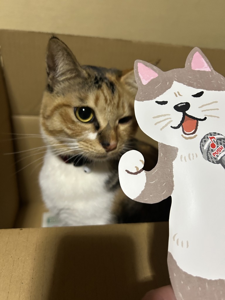 ユーザーアイコン