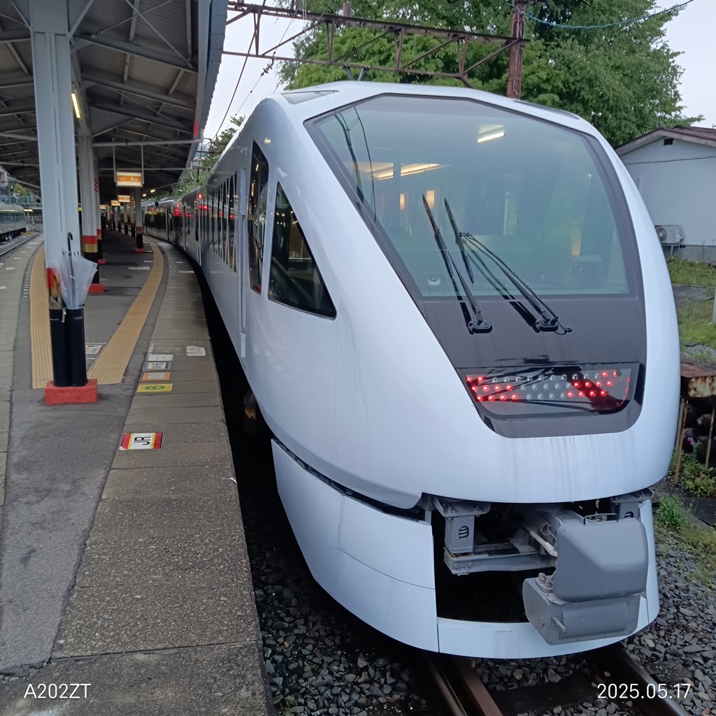 SUKALA】ブラトップ付きバルーンカシュクールトップス(Sサイズ