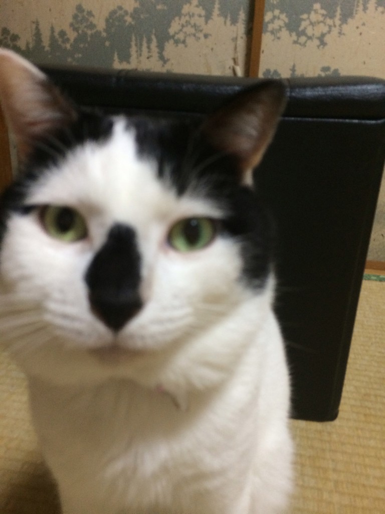 ユーザーアイコン