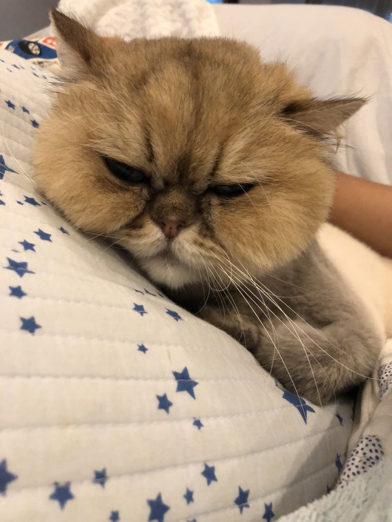 BURIちゃん