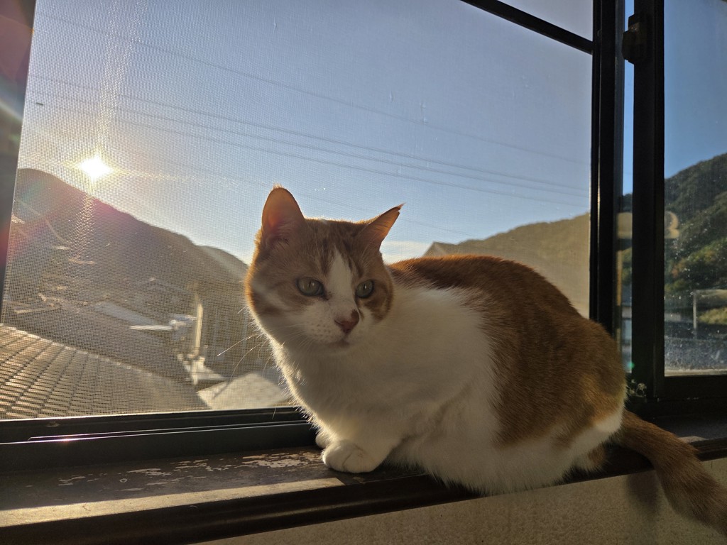 ユーザーアイコン