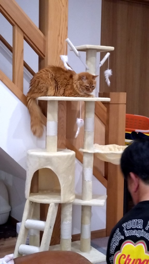 no name