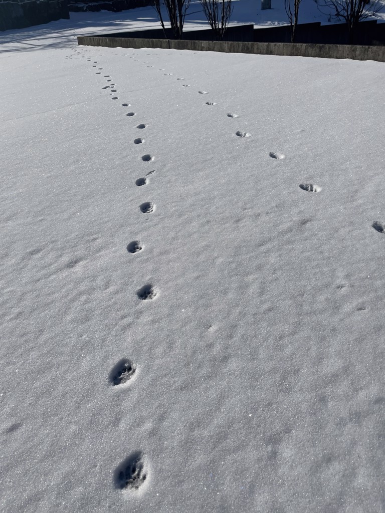 ユーザーアイコン