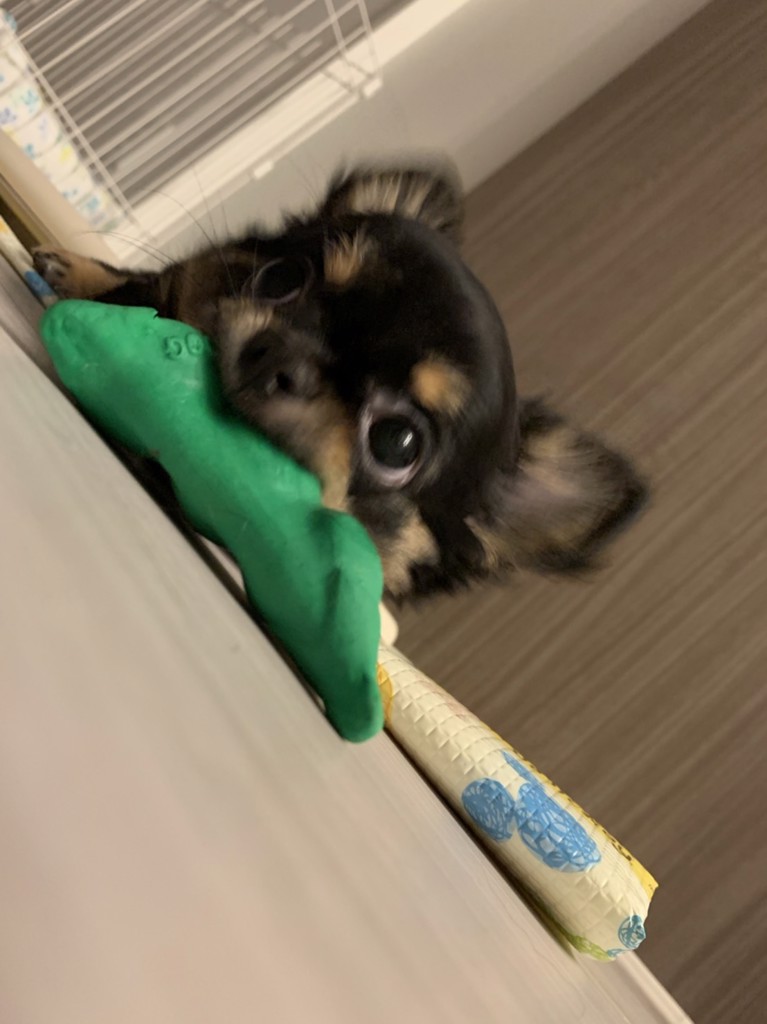 プアナ