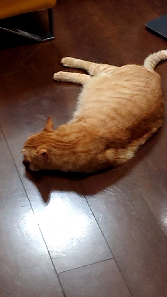 ユーザーアイコン