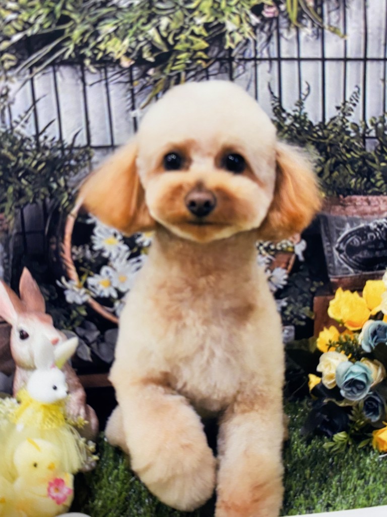さっちゃん