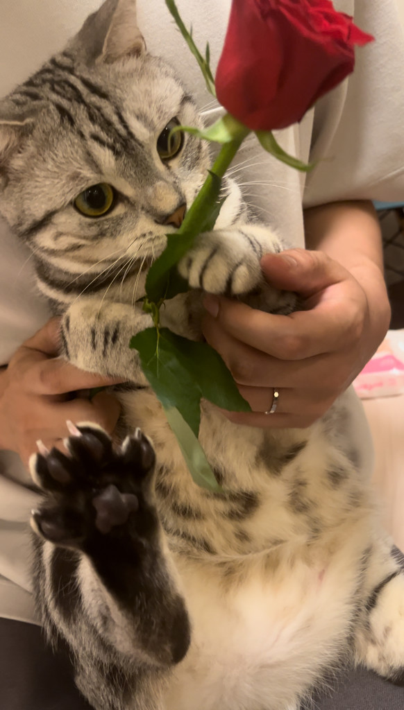 ユーザーアイコン