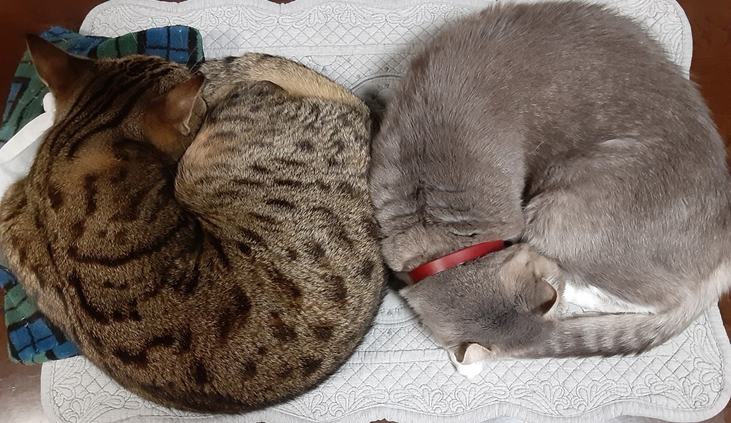 maru24