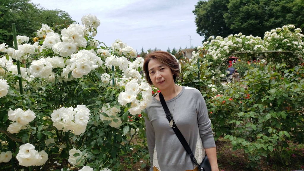 けめさん
