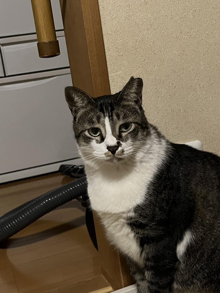 ぴーすけ