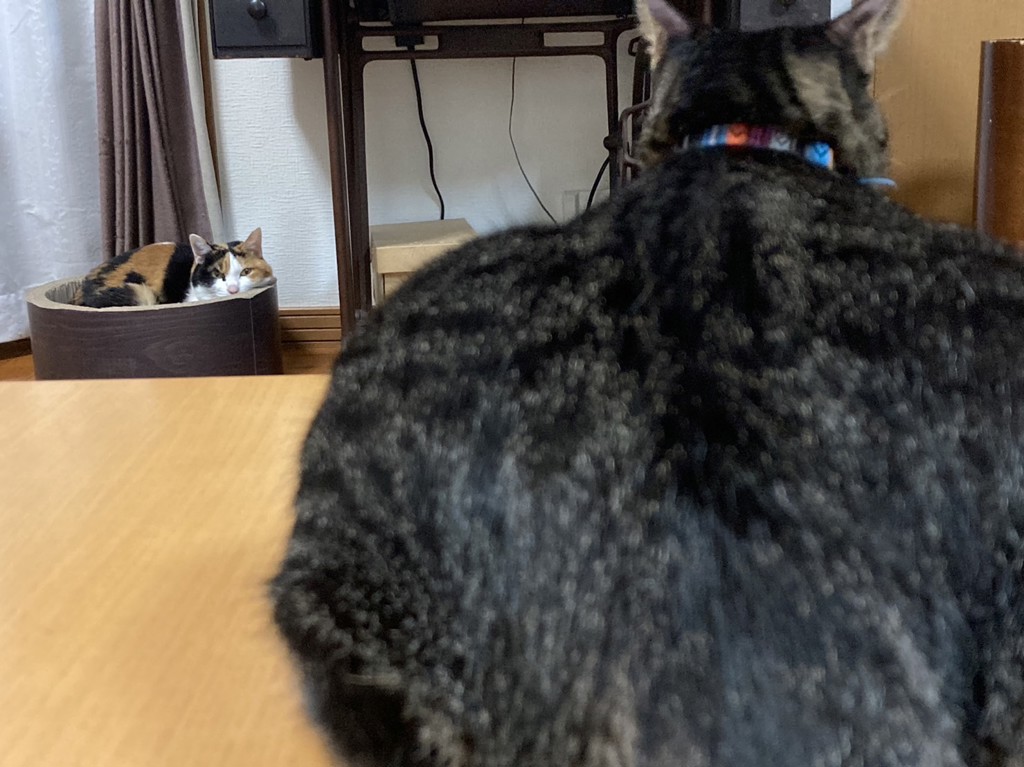 さく