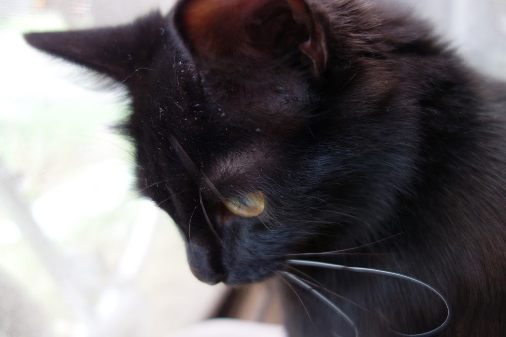 no name