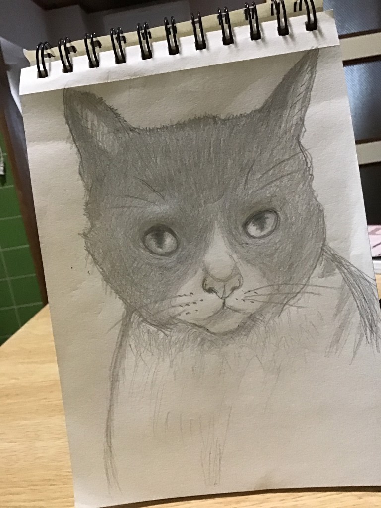 猫マンマ