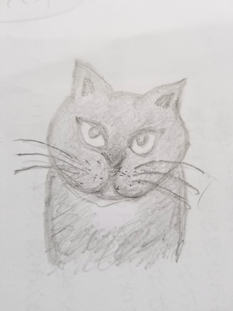 すなふきんこ