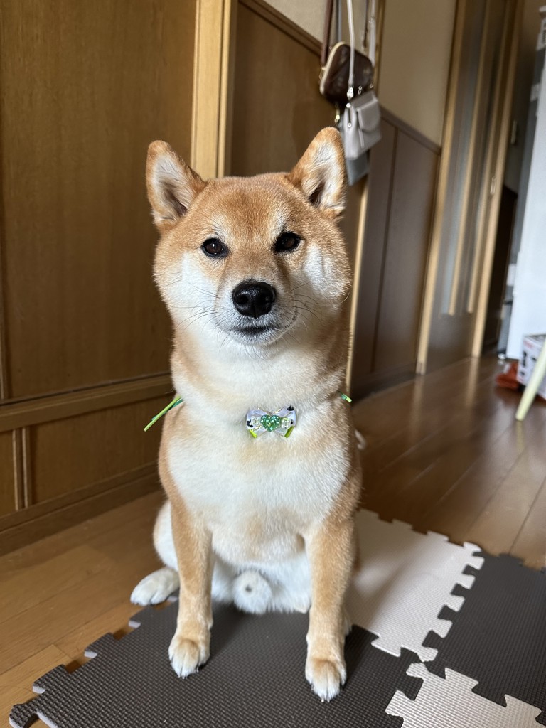 かんころ