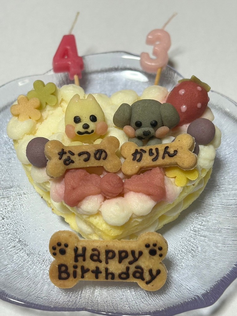 SUKALA】リブドレープキャミソール(S・Mサイズ ディープグリーン