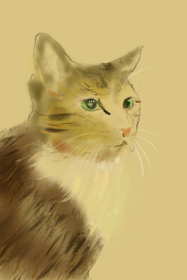 no name