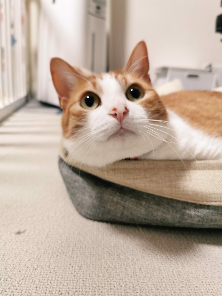 ユーザーアイコン