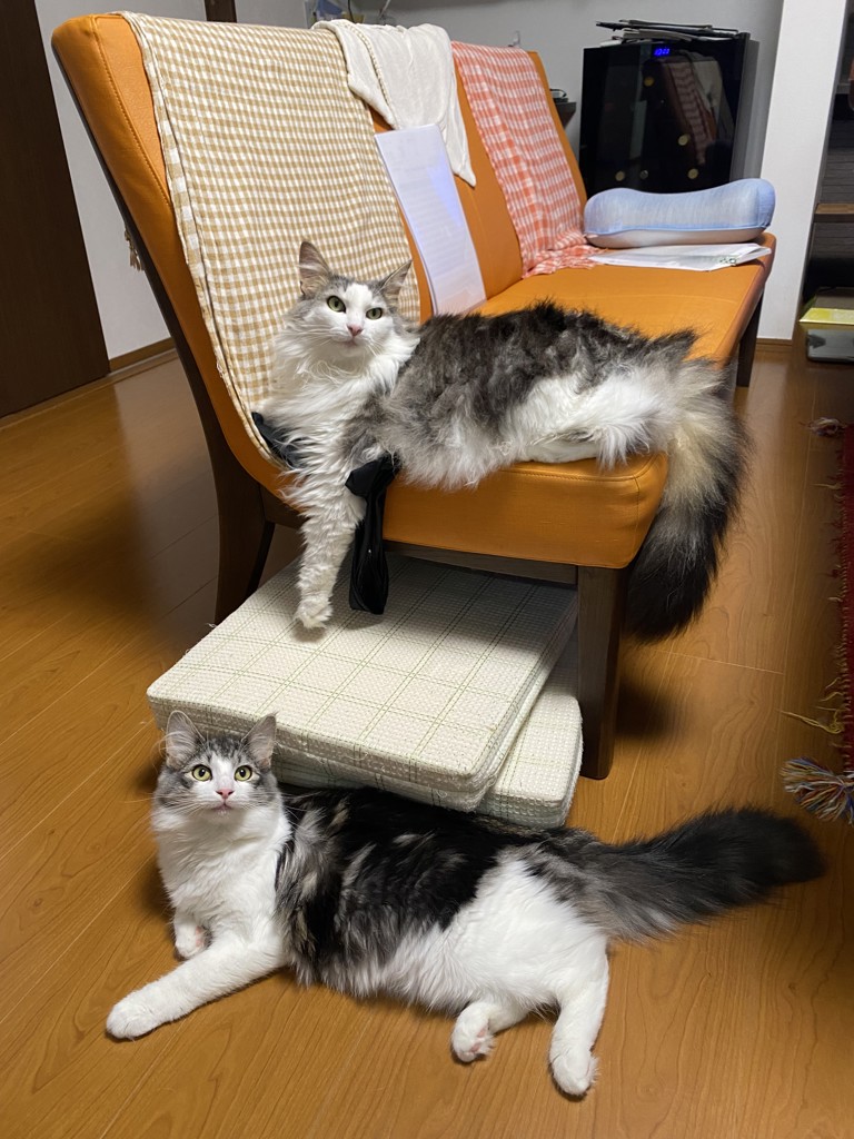 まっちゃん