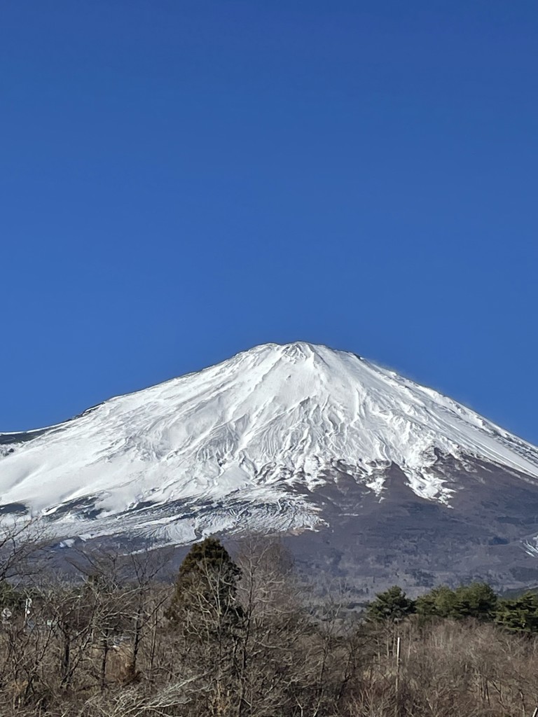 ニャンベア