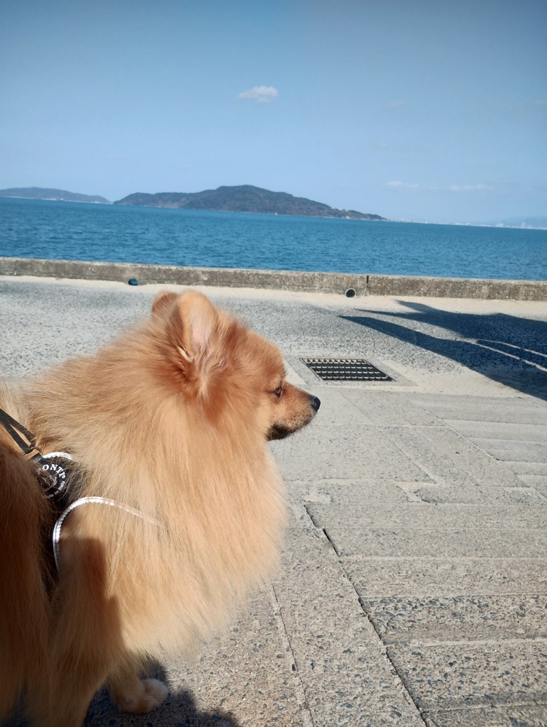 ちーこ