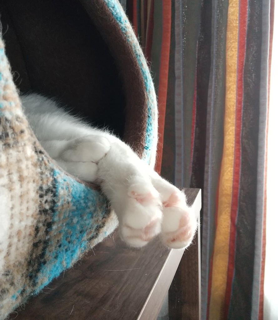 あめさく