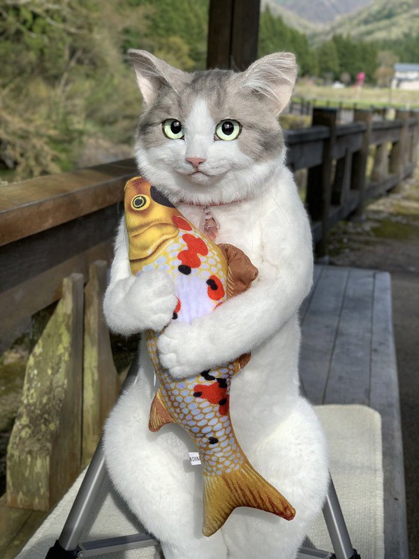 ねこ助店長