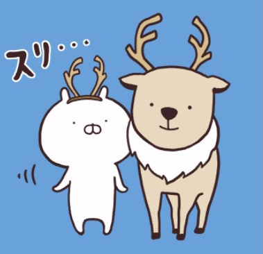 よっちー。