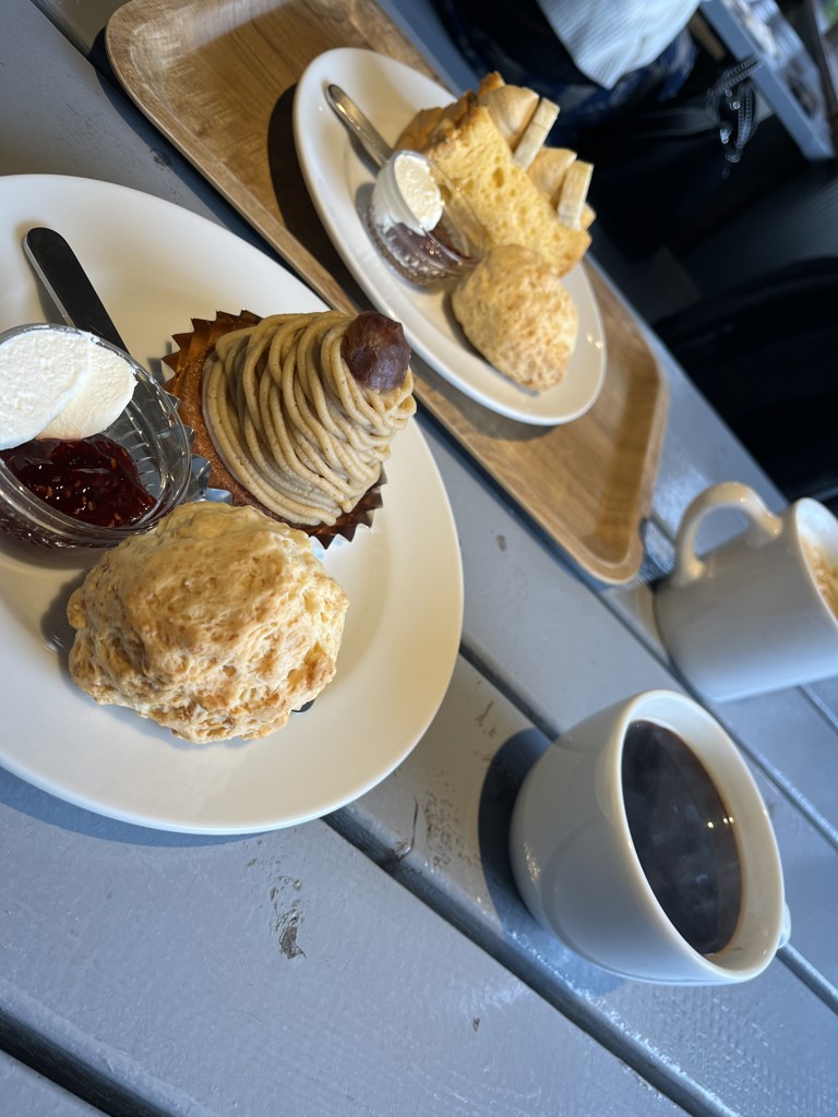 超甘撚り バスタオルショート(FREE ミモザ): タオル｜オーガニック