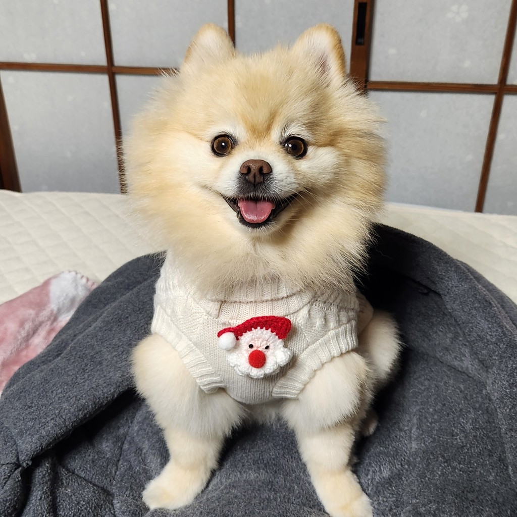 はなママ