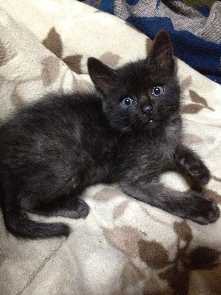 no name