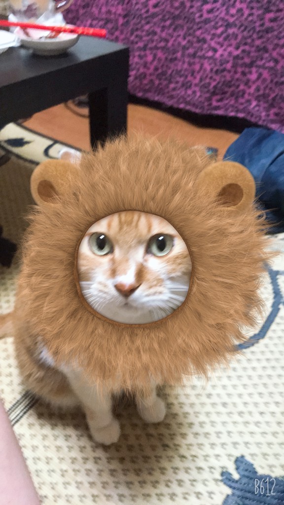 ユーザーアイコン