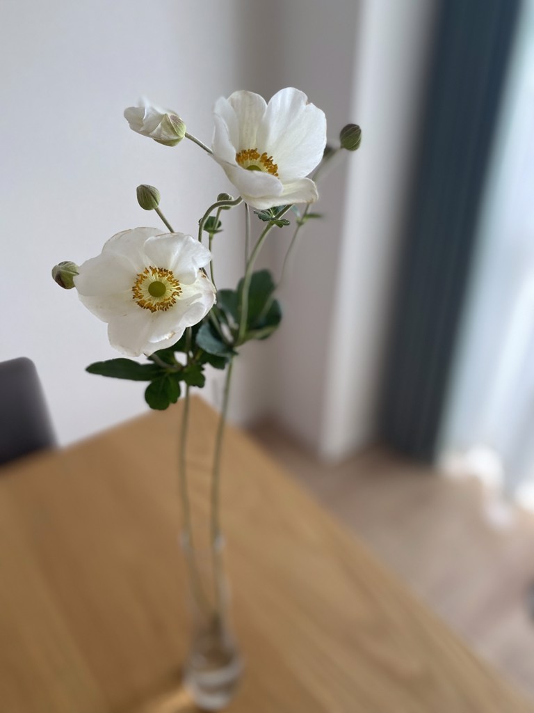 あさみん