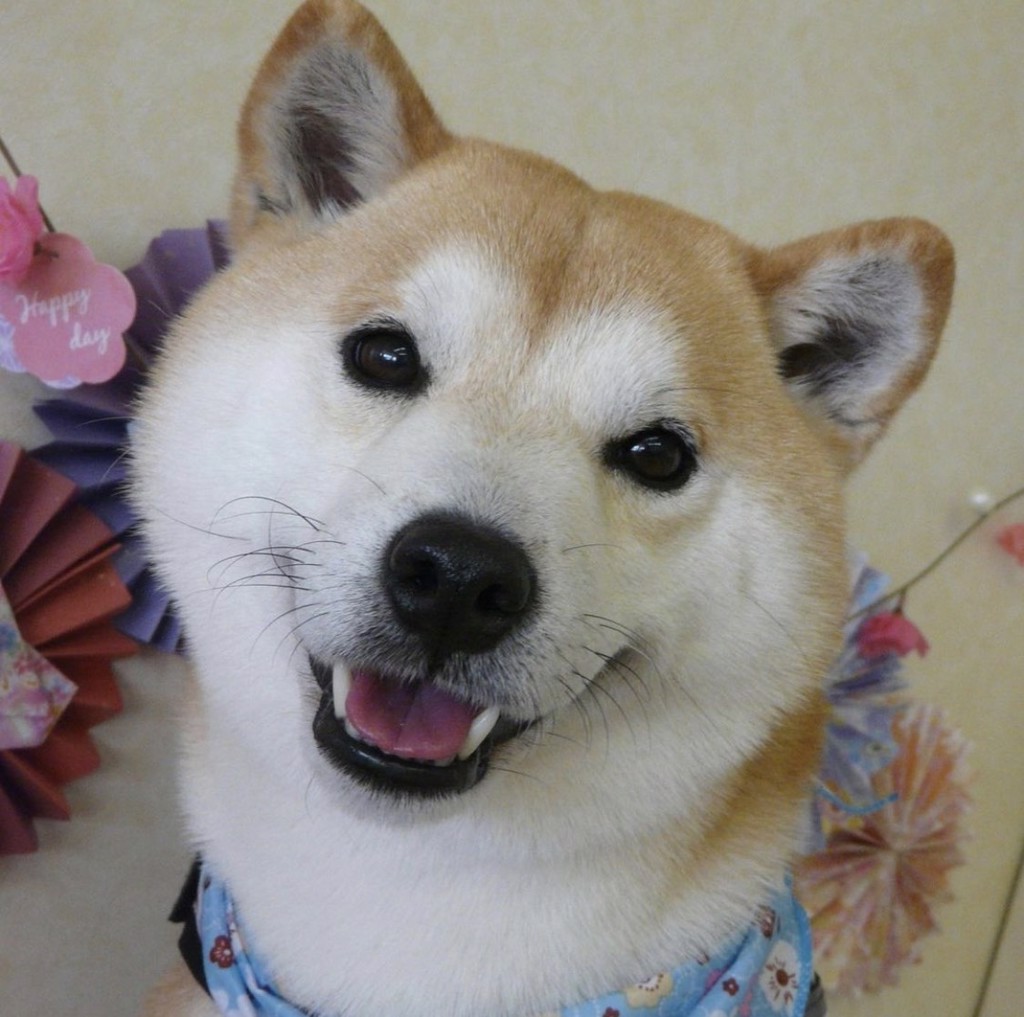 のりやん