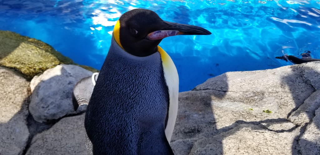 ユーザーアイコン